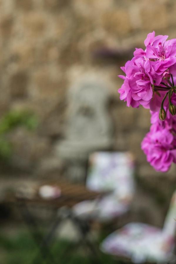سوتري B&B Etruscan Garden المظهر الخارجي الصورة