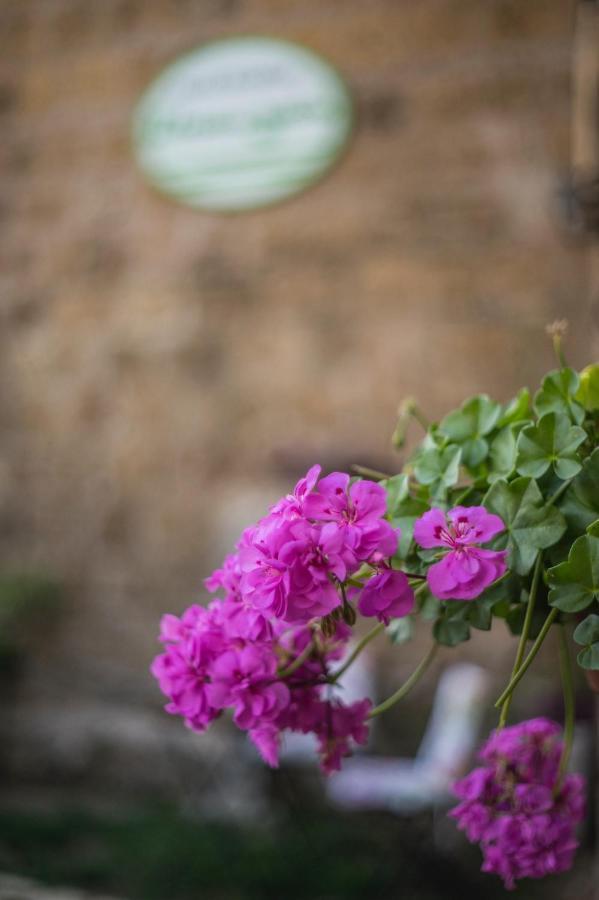 سوتري B&B Etruscan Garden المظهر الخارجي الصورة