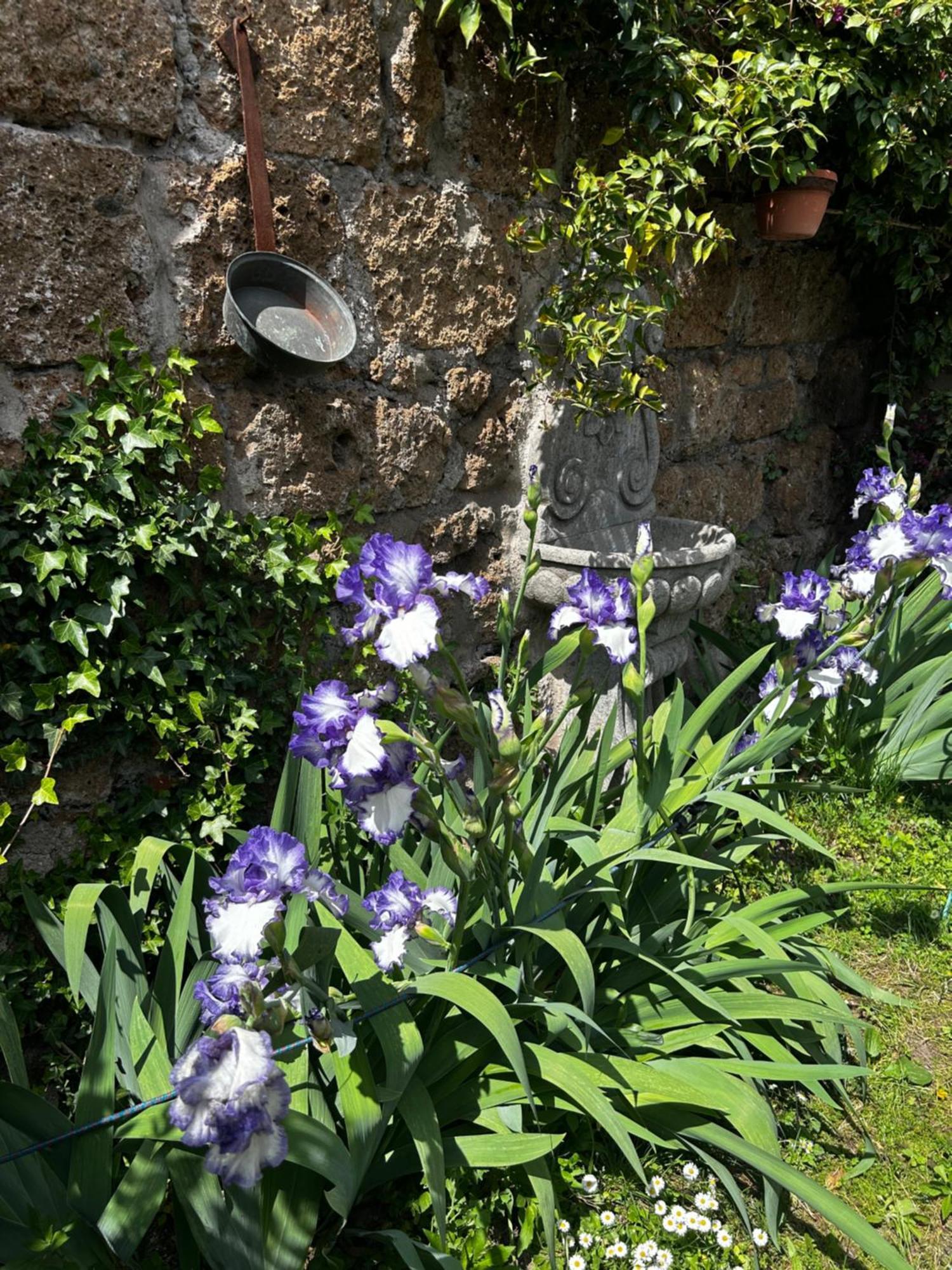 سوتري B&B Etruscan Garden المظهر الخارجي الصورة